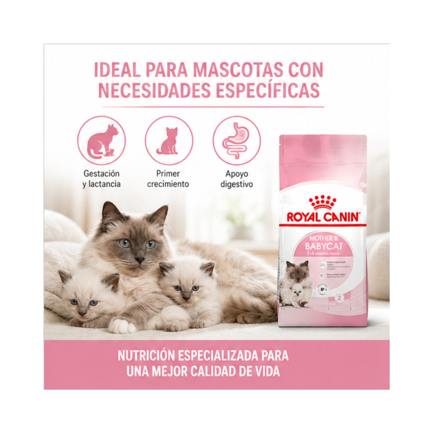 Royal Canin Mother & Babycat Gatos 1.5kg | Gatitos-3