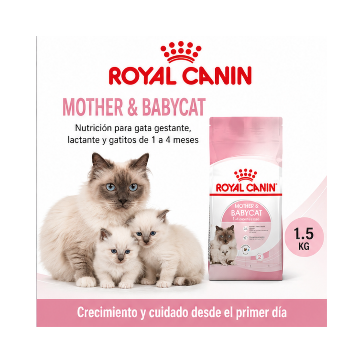 Royal Canin Mother & Babycat Gatos 1.5kg | Gatitos-5