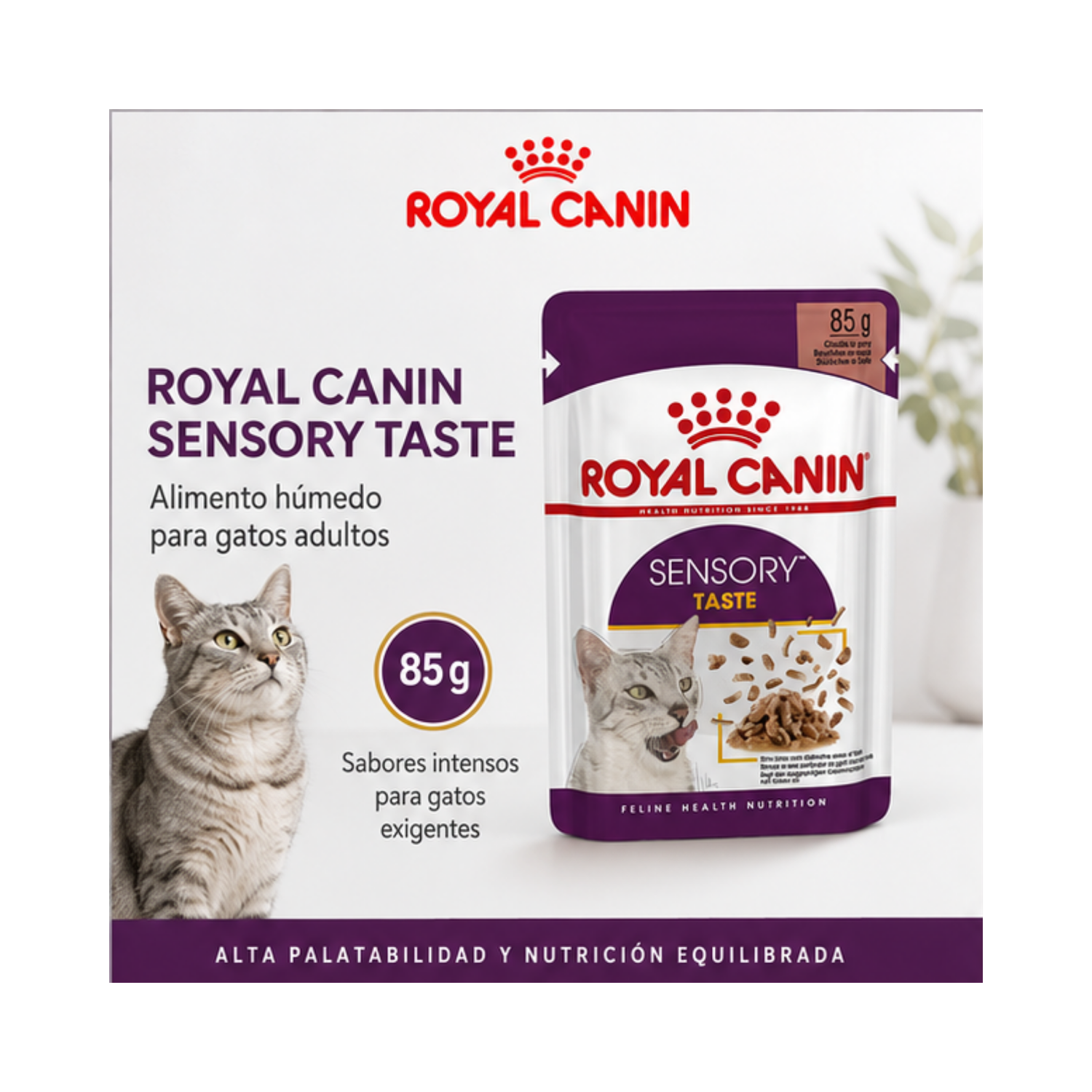 Royal Canin Sensory Taste Gato Sobre 85g Alimento Húmedo-3