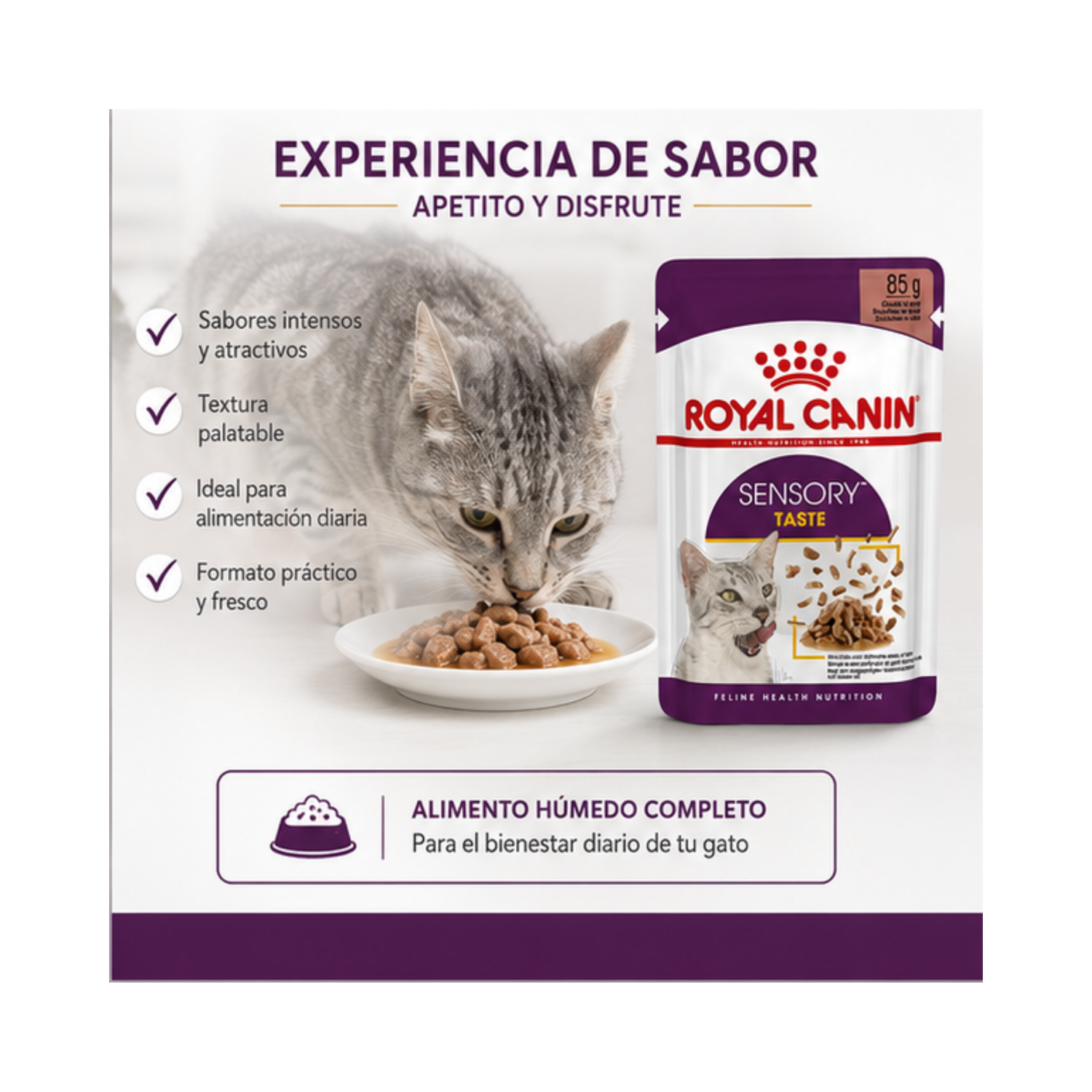 Royal Canin Sensory Taste Gato Sobre 85g Alimento Húmedo-2