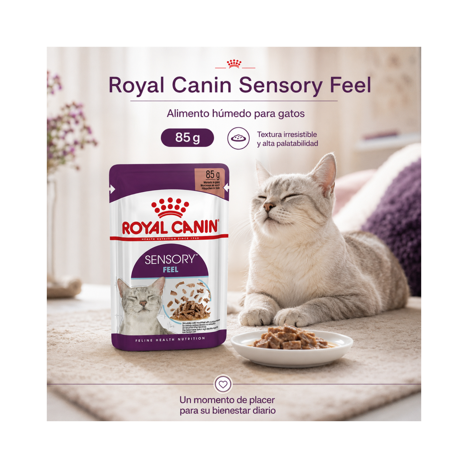 Royal Canin Sensory Taste Gato Sobre 85g Alimento Húmedo-4