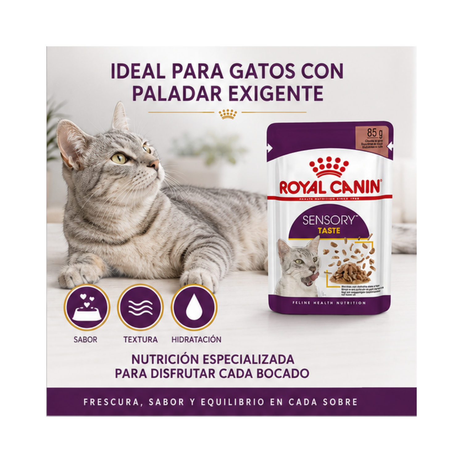 Royal Canin Sensory Taste Gato Sobre 85g Alimento Húmedo-5