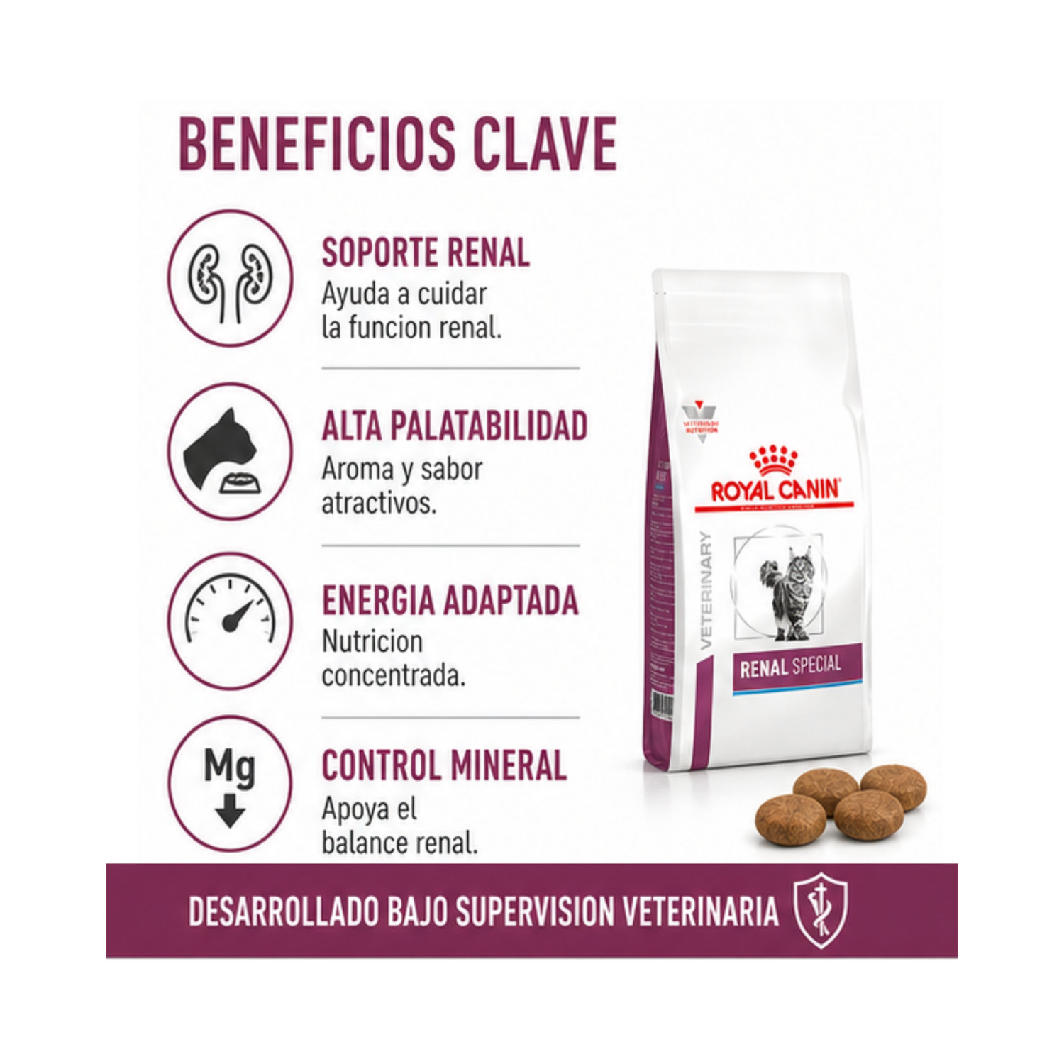 Royal Canin Renal Especial Feline 2 kg-2