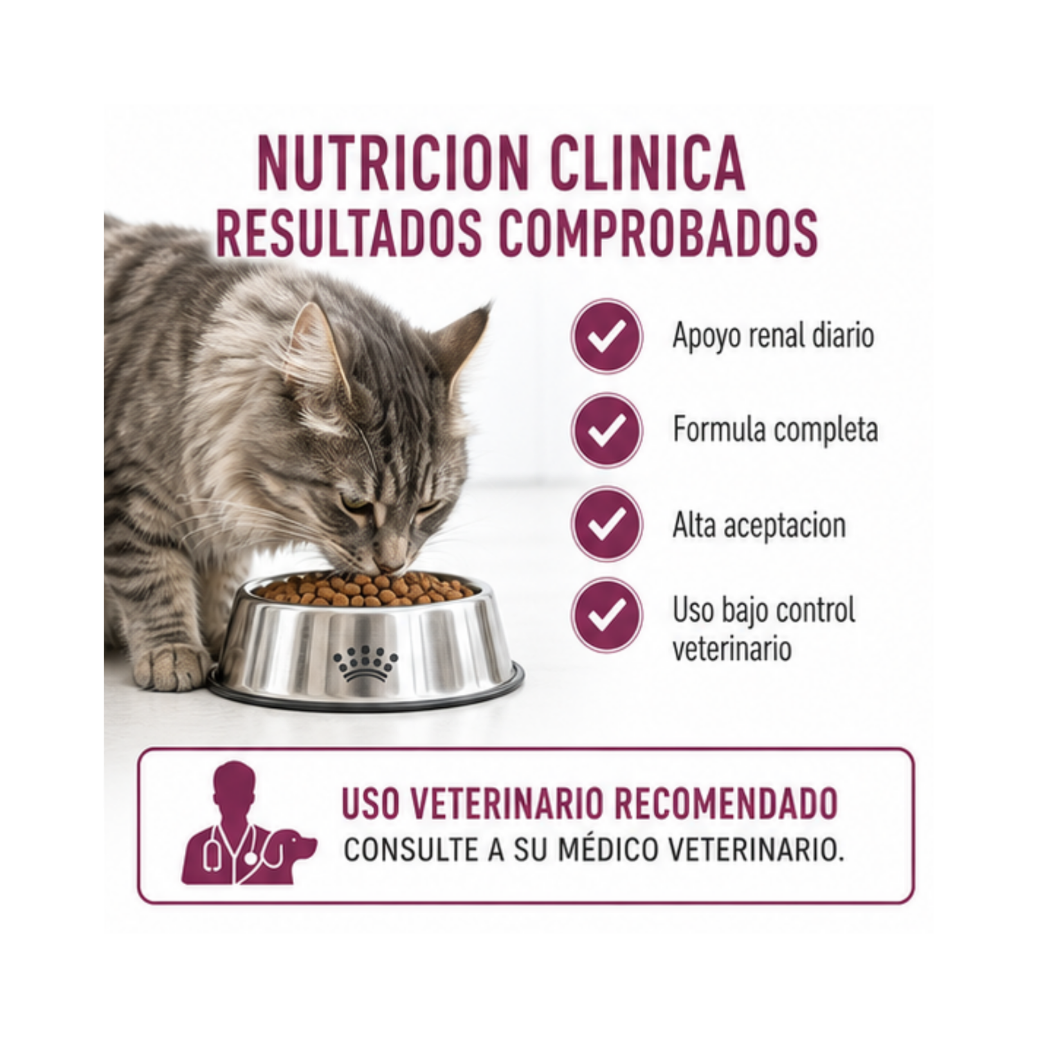Royal Canin Renal Especial Feline 2 kg-3