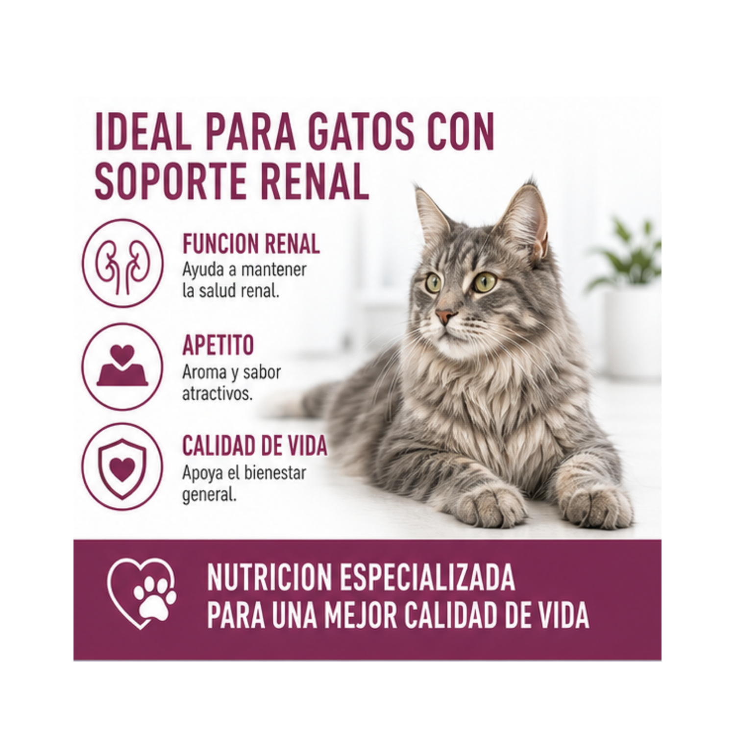 Royal Canin Renal Especial Feline 2 kg-4