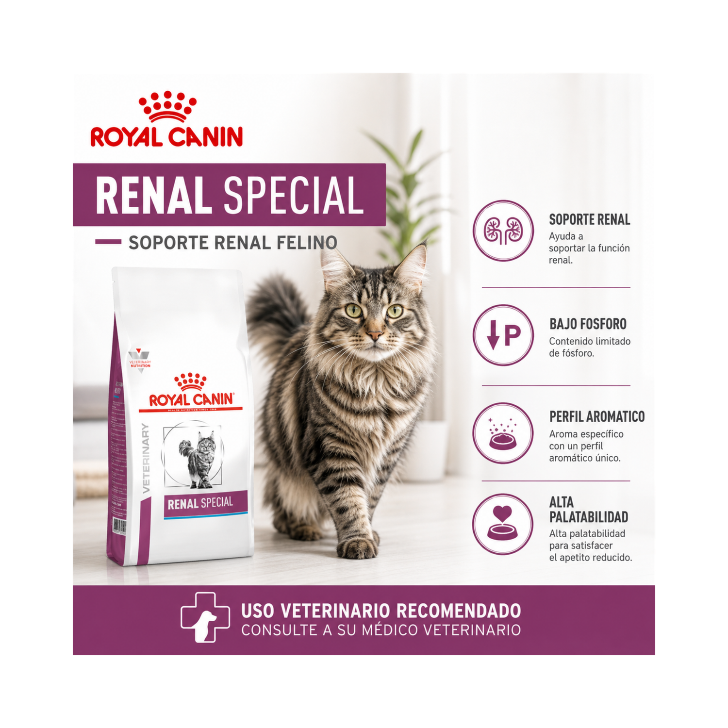 Royal Canin Renal Especial Feline 2 kg-5