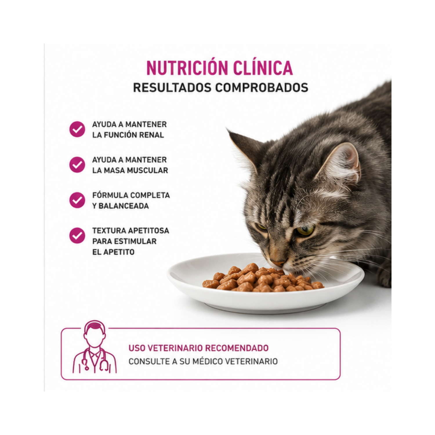 Royal Canin Renal Support Feline Lata 145 Gr | Pack 6 Latas-2