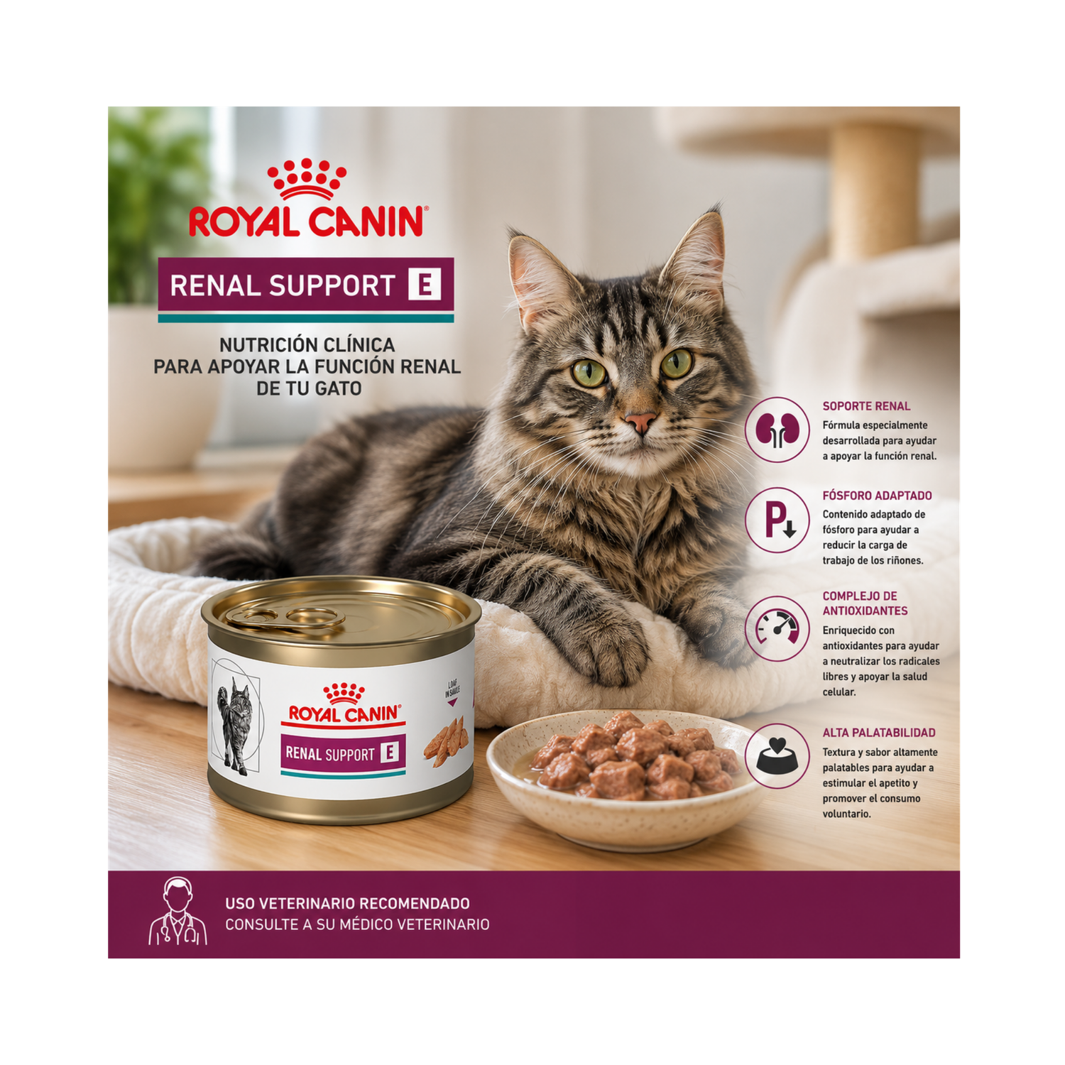 Royal Canin Renal Support Feline Lata 145 Gr | Pack 6 Latas-4
