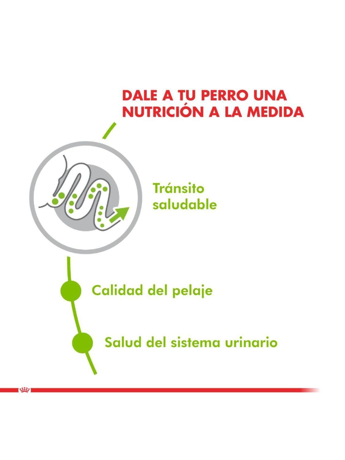Alimento Royal Canin X-Small Adulto 2.5 Kg-2