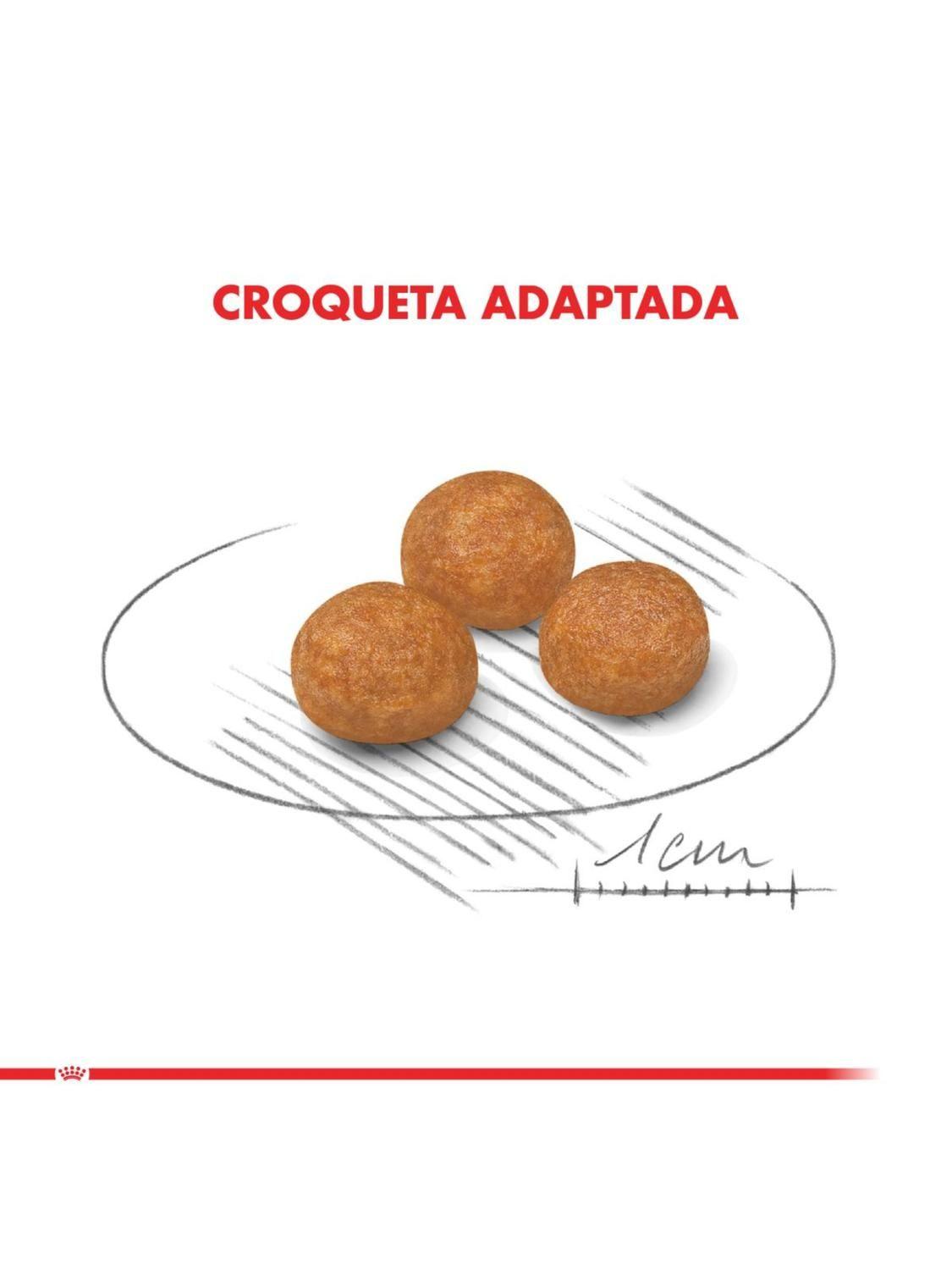 Alimento Royal Canin X-Small Adulto 2.5 Kg-5