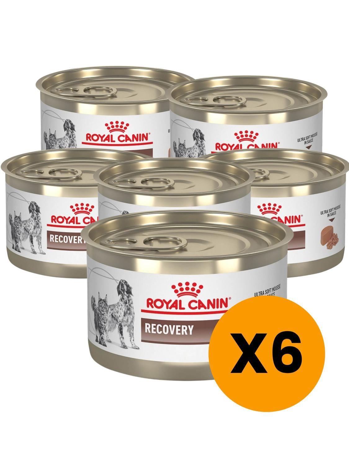 Alimento Royal Canin Recovery lata 145g - Pack X6-0