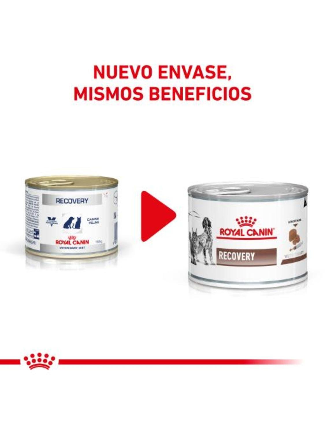 Alimento Royal Canin Recovery lata 145g - Pack X6-2