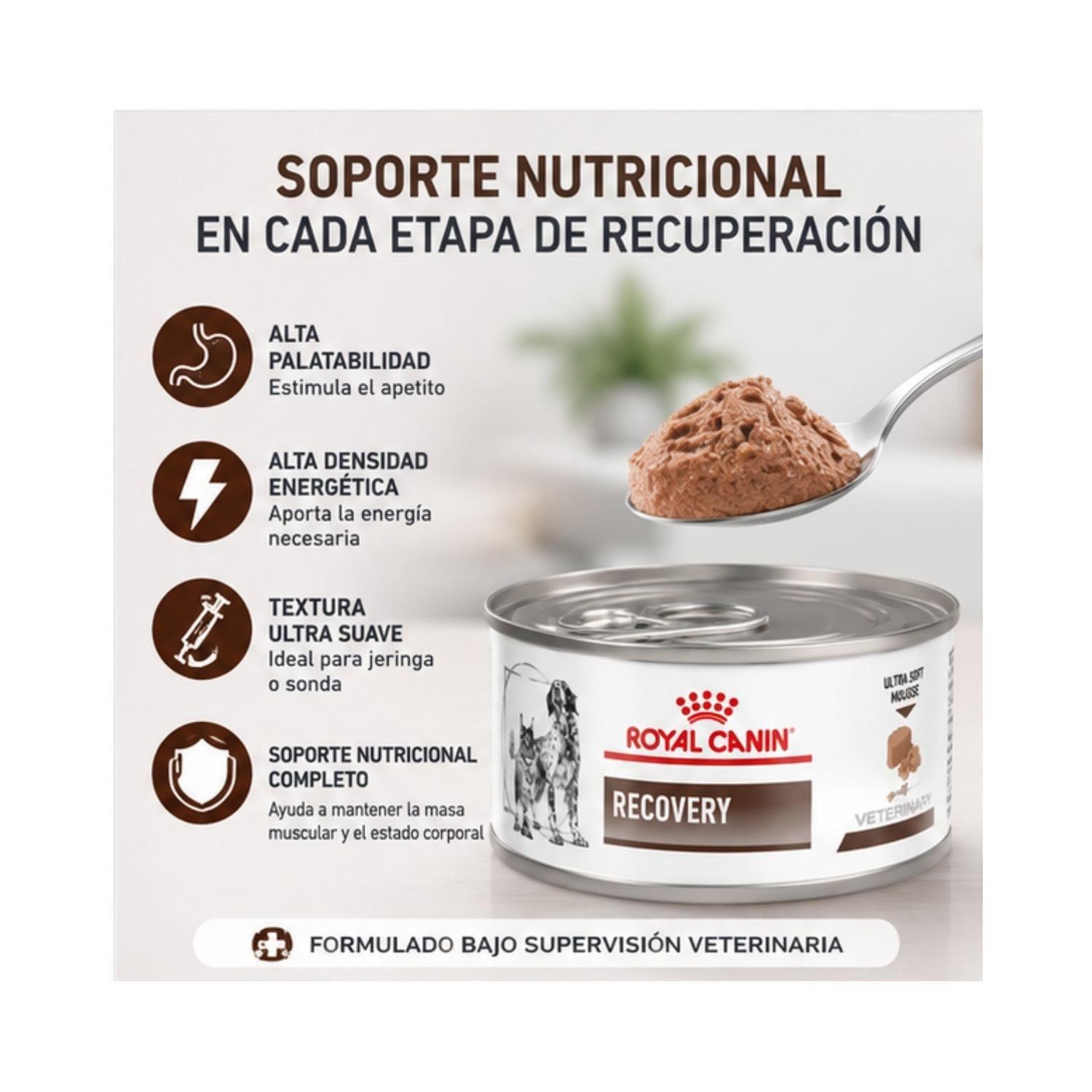 Royal Canin Recovery 145g Perro Gato Pack 6 Latas-2