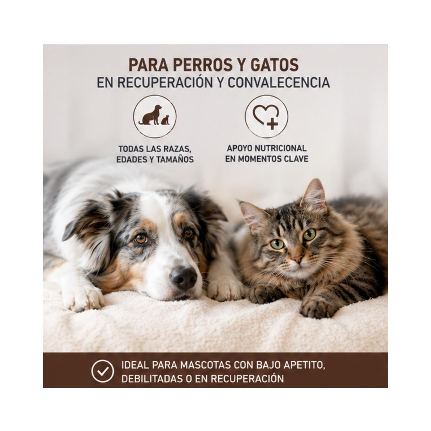 Royal Canin Recovery 145g Perro Gato Pack 6 Latas-3