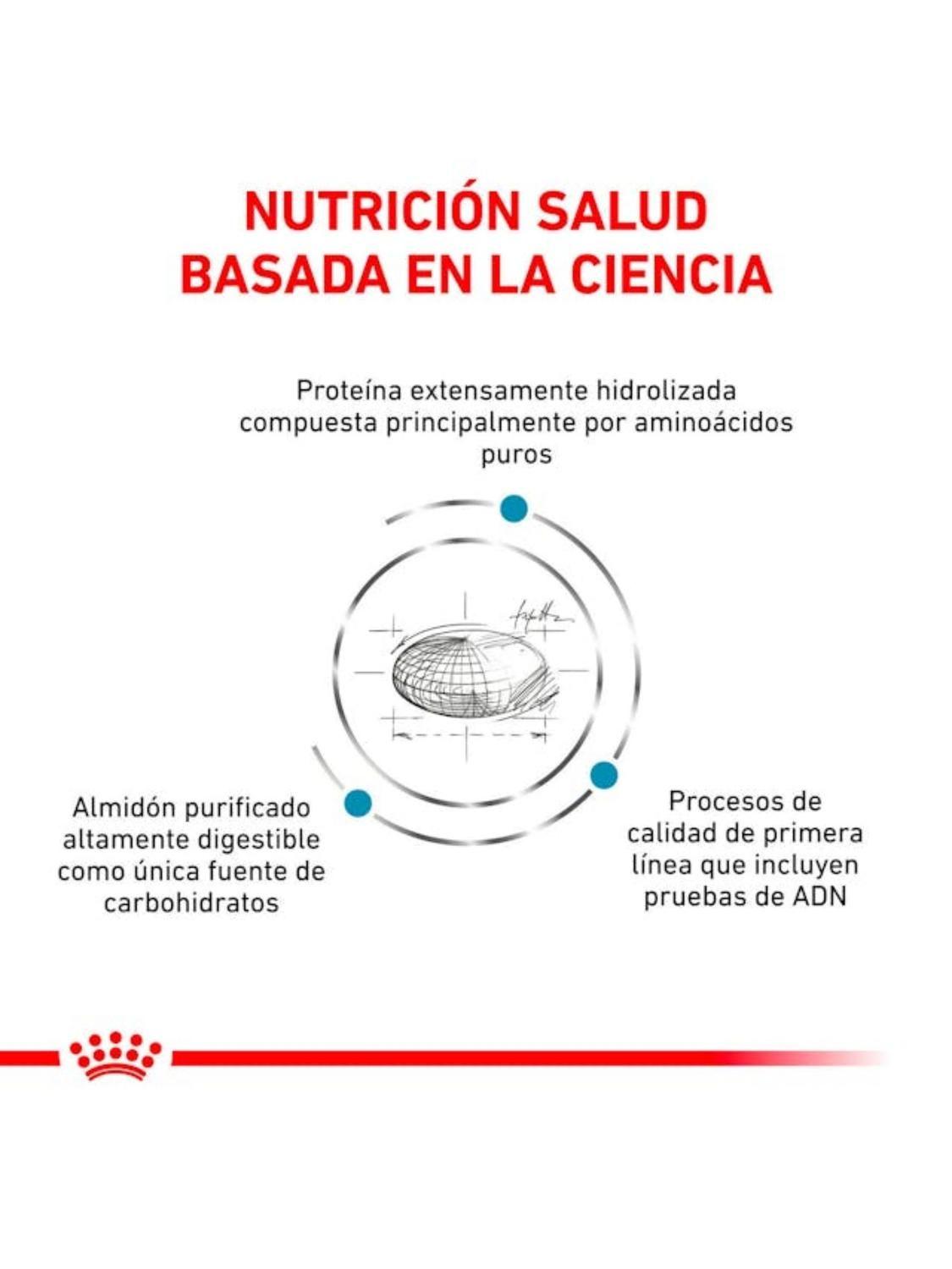 Alimento Royal canin Anallergenic Para gato 2kg-4