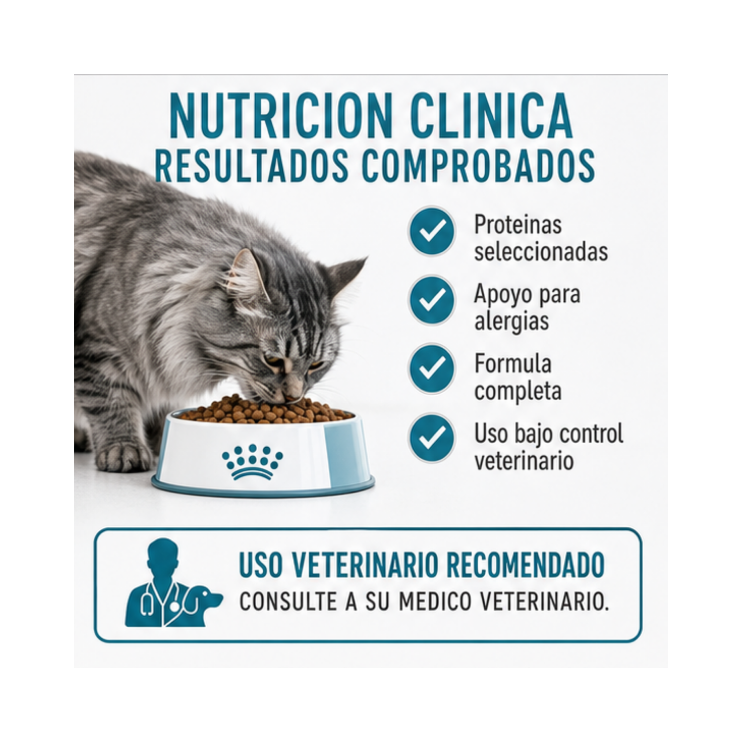Royal Canin Anallergenic Para Gato 2kg-2