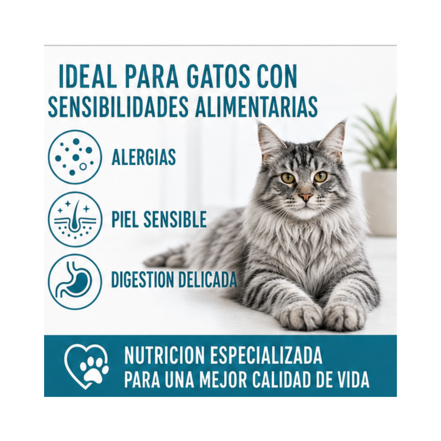 Royal Canin Anallergenic Para Gato 2kg-3