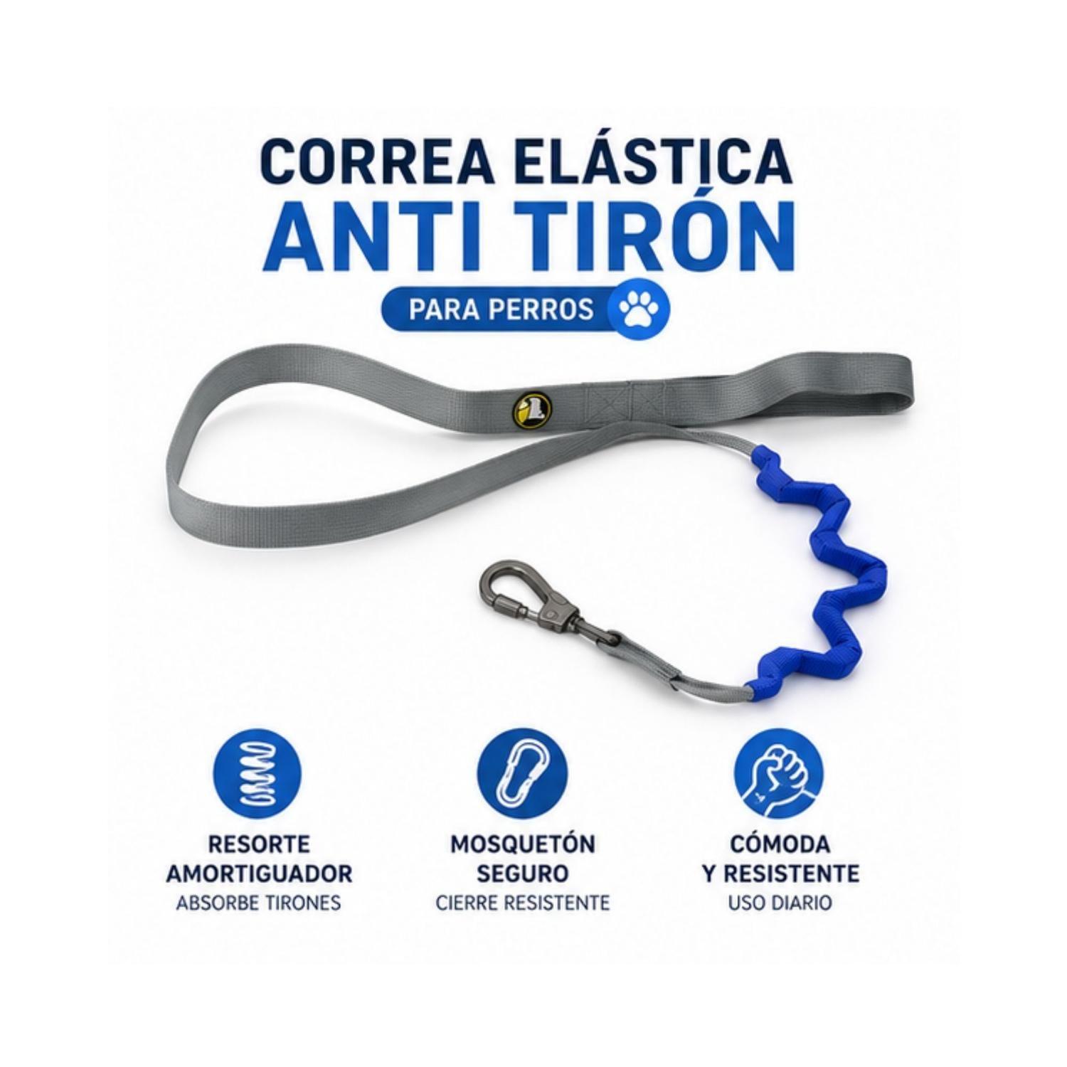 Correa Elástica Anti Tirón Perro Azul 2,5x120 cm-4
