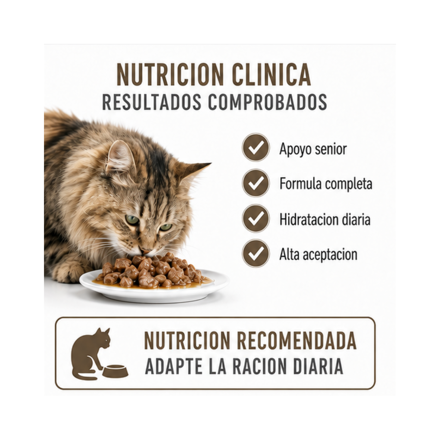 Royal Canin Ageing 12+ Gato Pouch 85g Unidades | Pack 12 Sobres-3