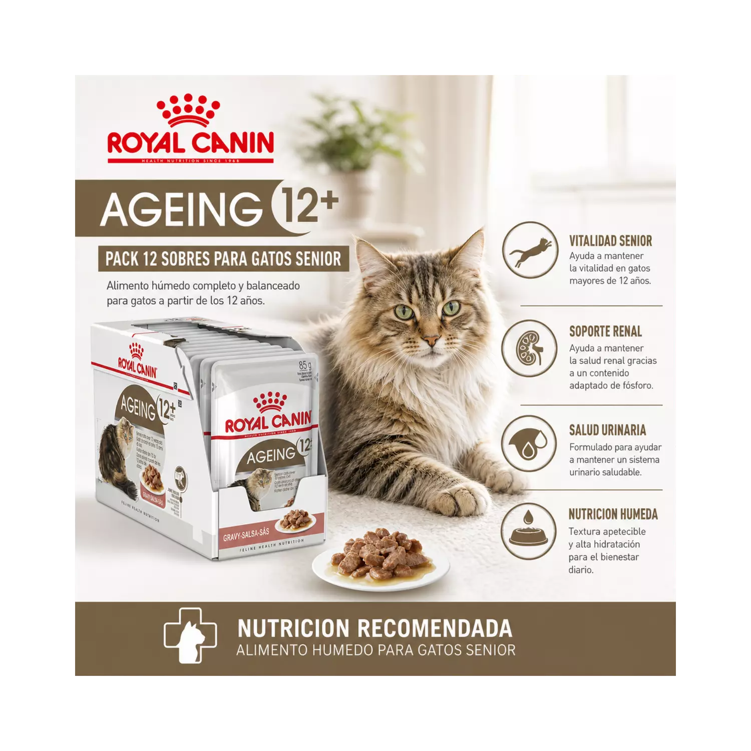 Royal Canin Ageing 12+ Gato Pouch 85g Unidades | Pack 12 Sobres-4