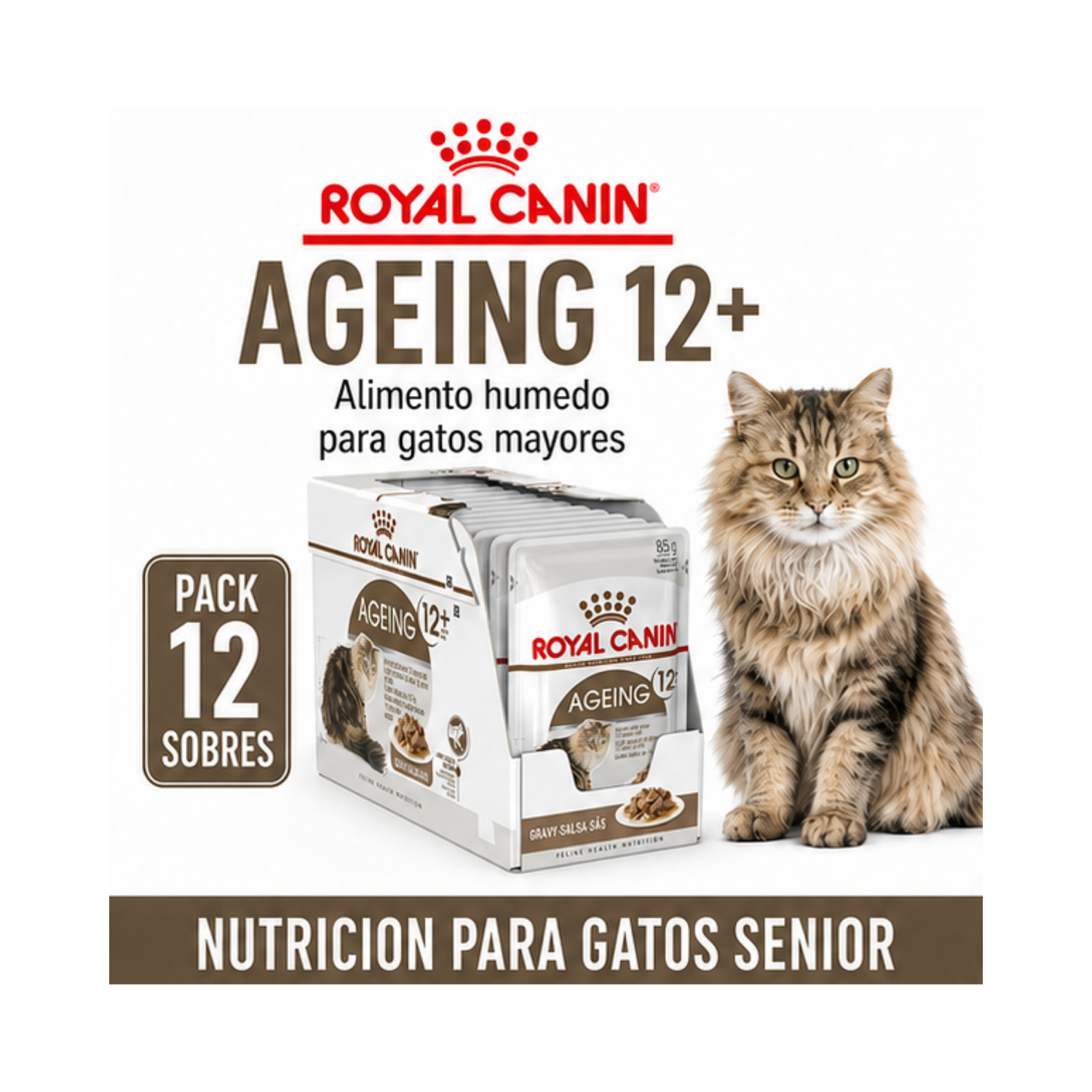 Royal Canin Ageing 12+ Gato Pouch 85g Unidades | Pack 12 Sobres-5