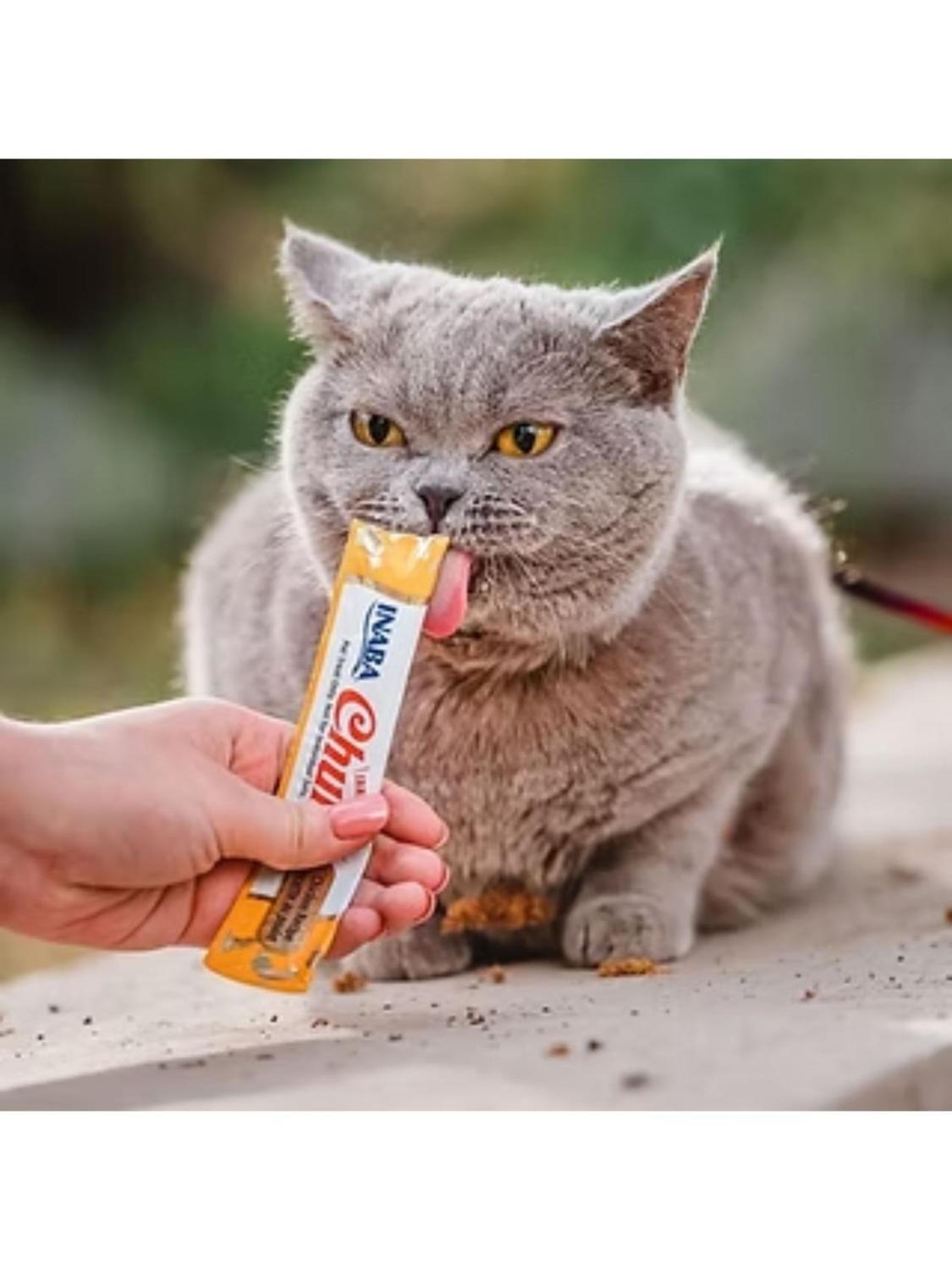 Churu Cat Surtido Atún 14g x50 Tubos | Pack Variedad-2