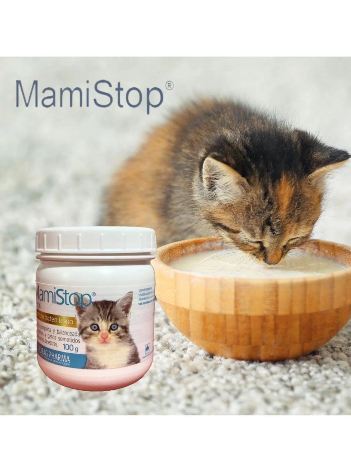 Alimento Leche Para Gatos Sustituto Lacteo 100GR-3
