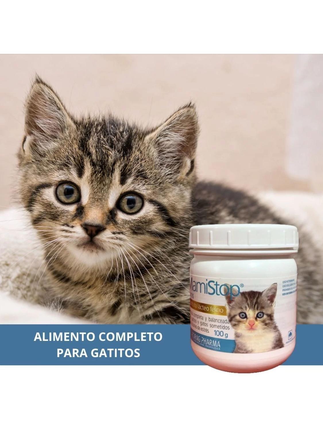 Alimento Leche Para Gatos Sustituto Lacteo 100GR-4