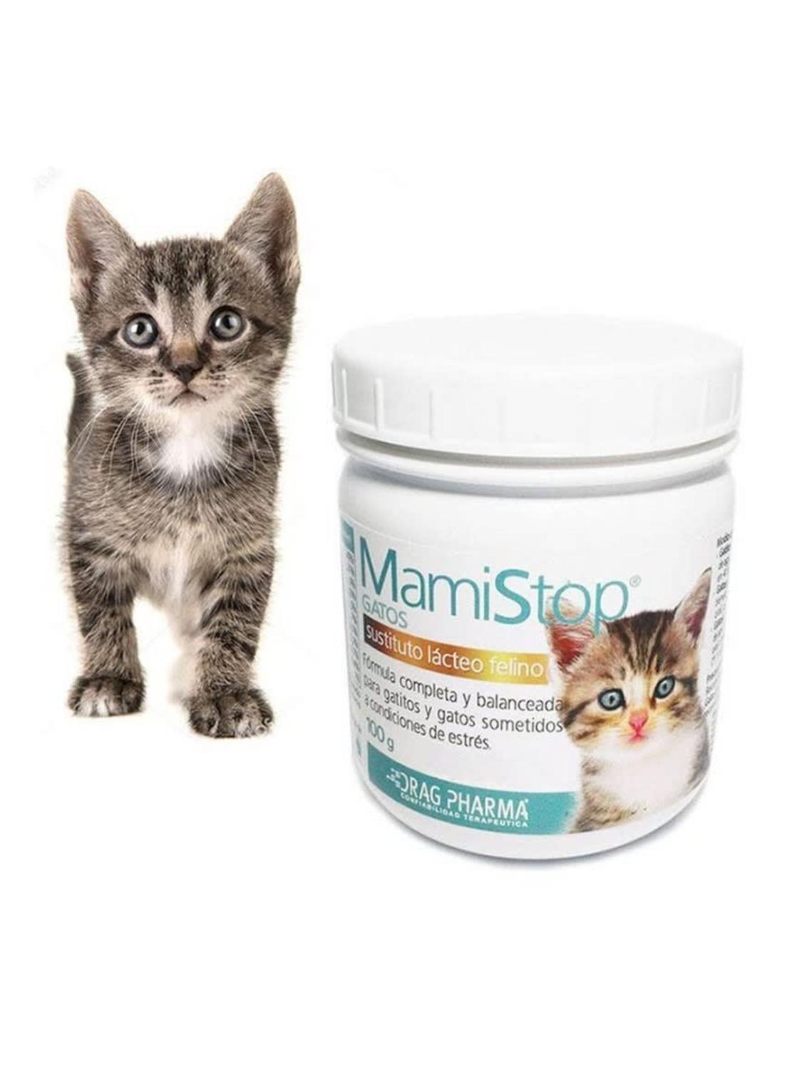 Alimento Leche Para Gatos Sustituto Lacteo 100GR-5