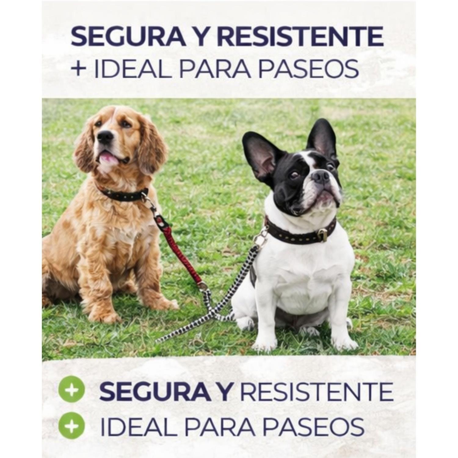 Correa Perro Cuerda Redonda Cuero 120 cm Resistente-3