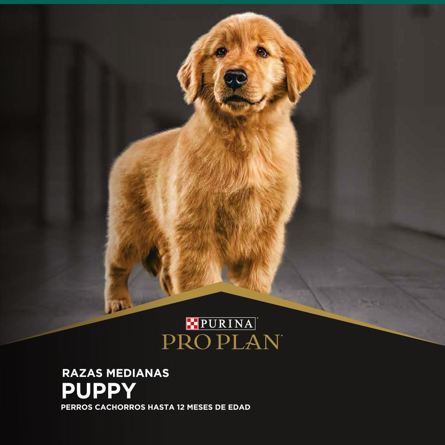 Pro Plan Puppy Optistart Raza Mediana Cachorro 12 Kg-3
