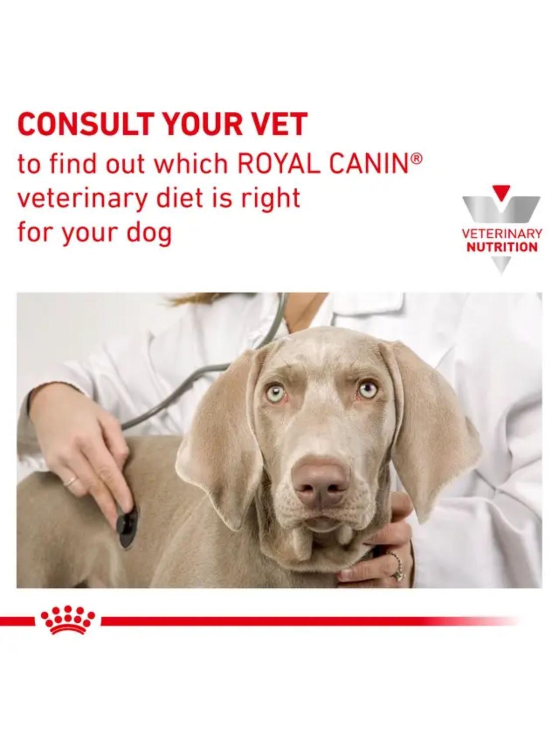 Royal Canin Gastrointestinal High Fibre Perro 2 kg-3
