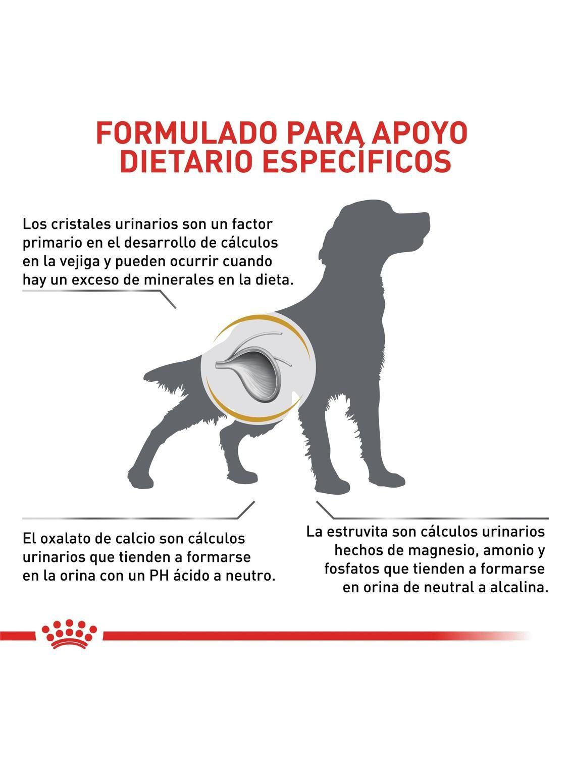 Alimento Royal Canin Urinary S/O Saco 1.5 kilo-2