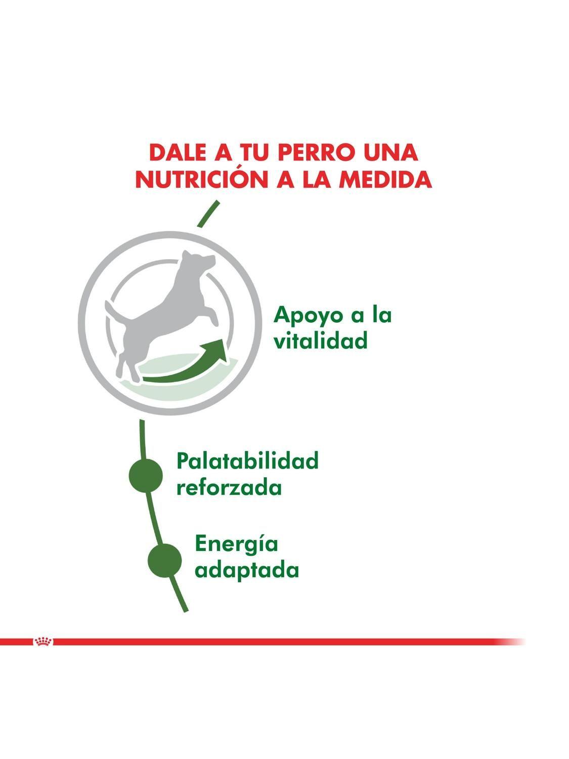 Alimento Royal Canin Mini Adulto 8+ Saco 3 kilo-2