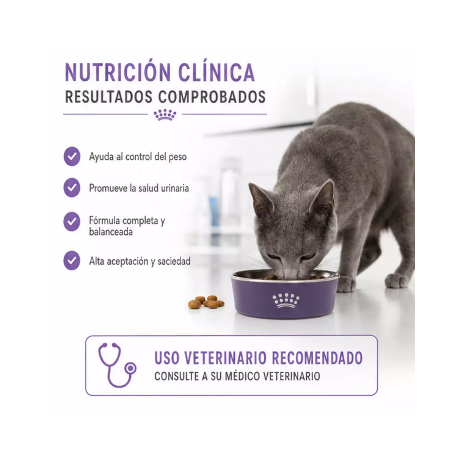 Royal Canin Sterilised Gato Adulto 1.5 kg | Castrados-2