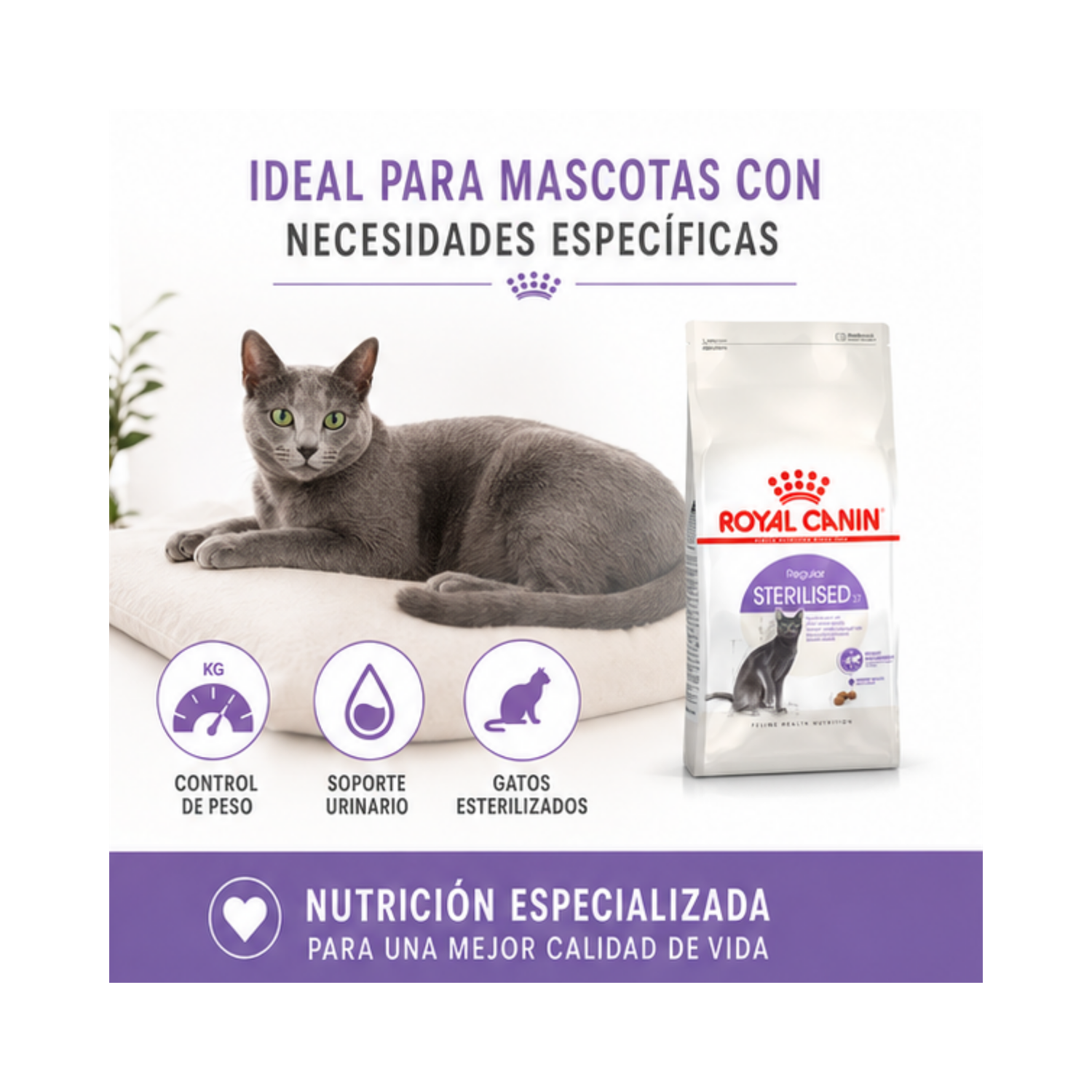 Royal Canin Sterilised Gato Adulto 1.5 kg | Castrados-3