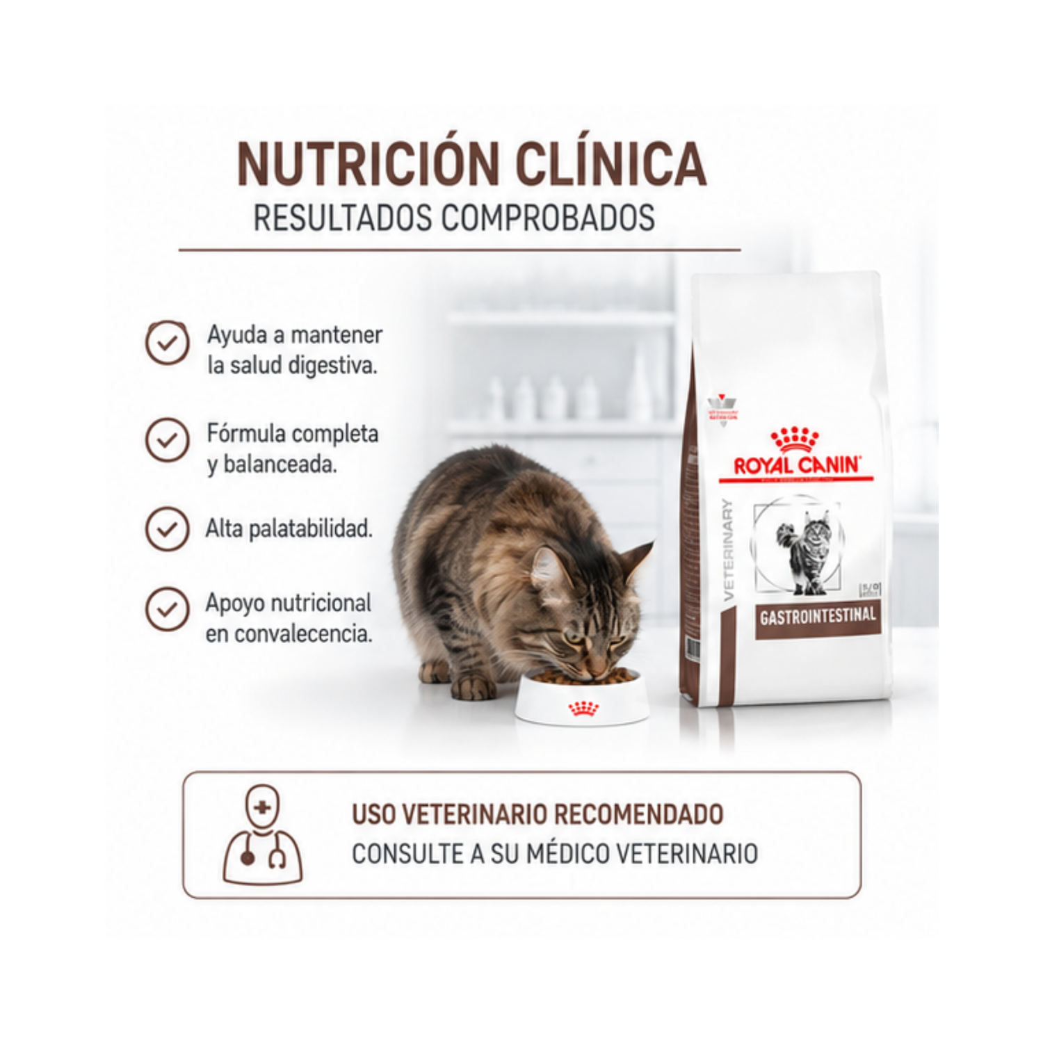 Royal Canin Gastrointestinal Gatos 2kg | Salud Digestiva-1