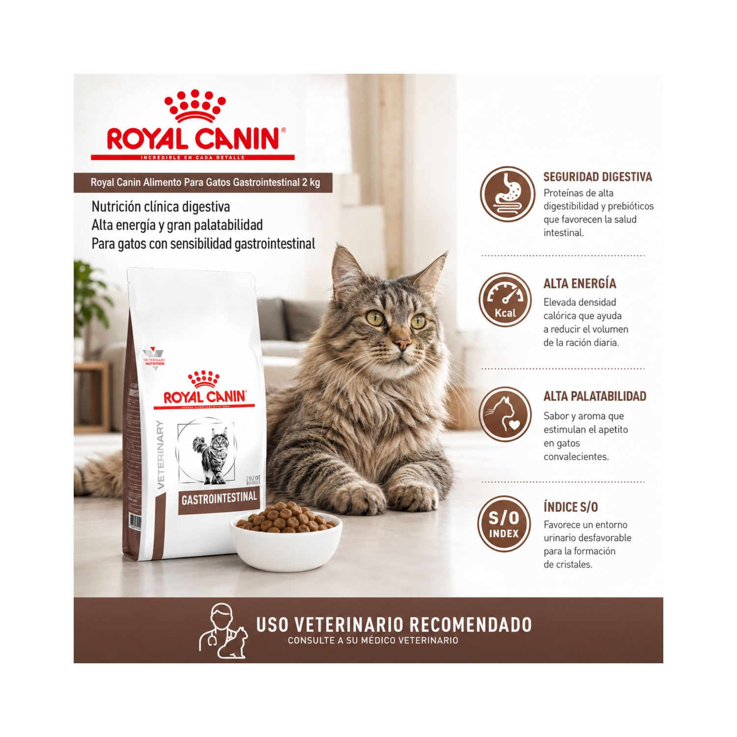 Royal Canin Gastrointestinal Gatos 2kg | Salud Digestiva-3