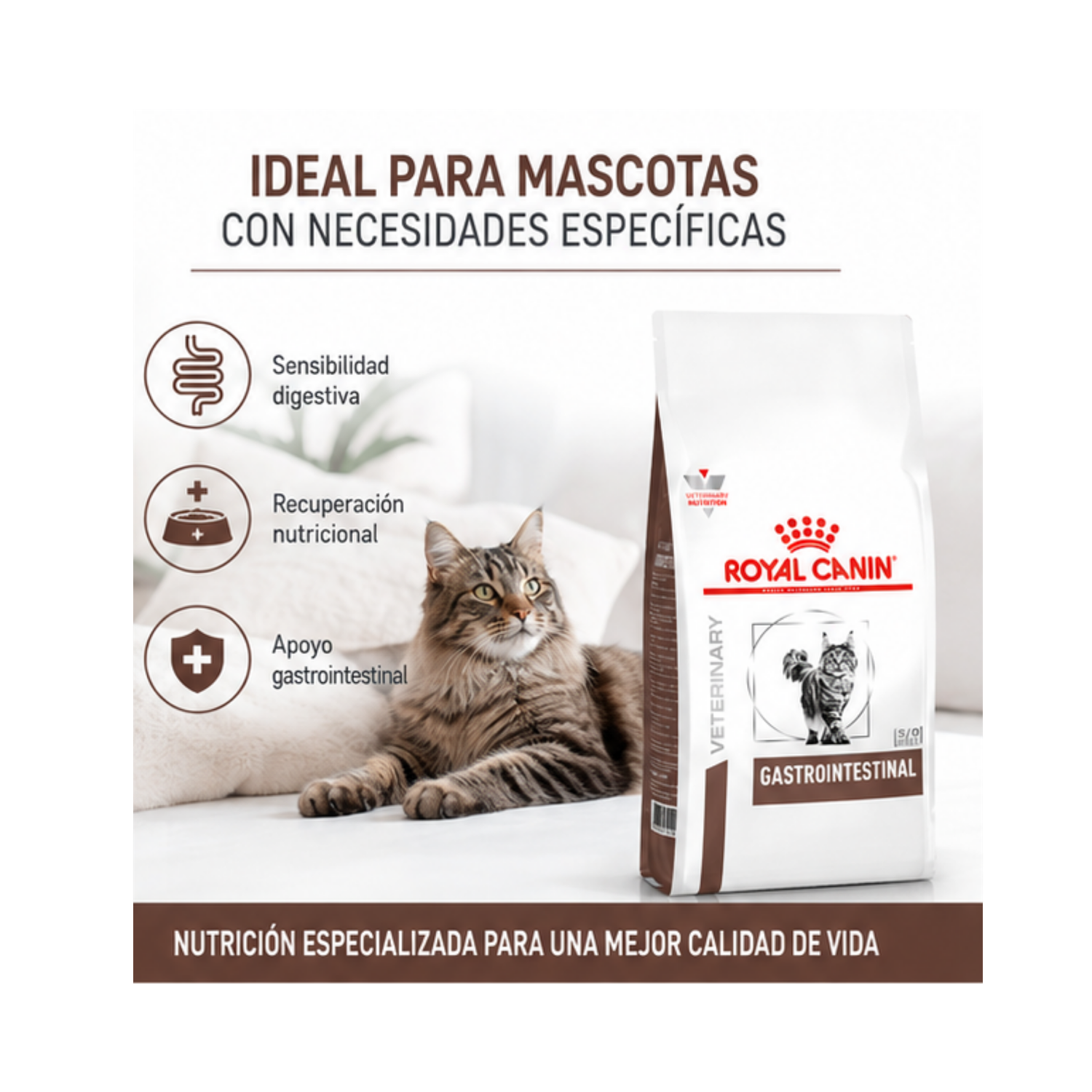 Royal Canin Gastrointestinal Gatos 2kg | Salud Digestiva-4
