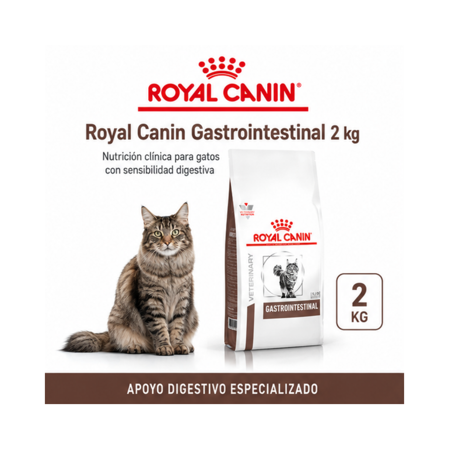 Royal Canin Gastrointestinal Gatos 2kg | Salud Digestiva-5