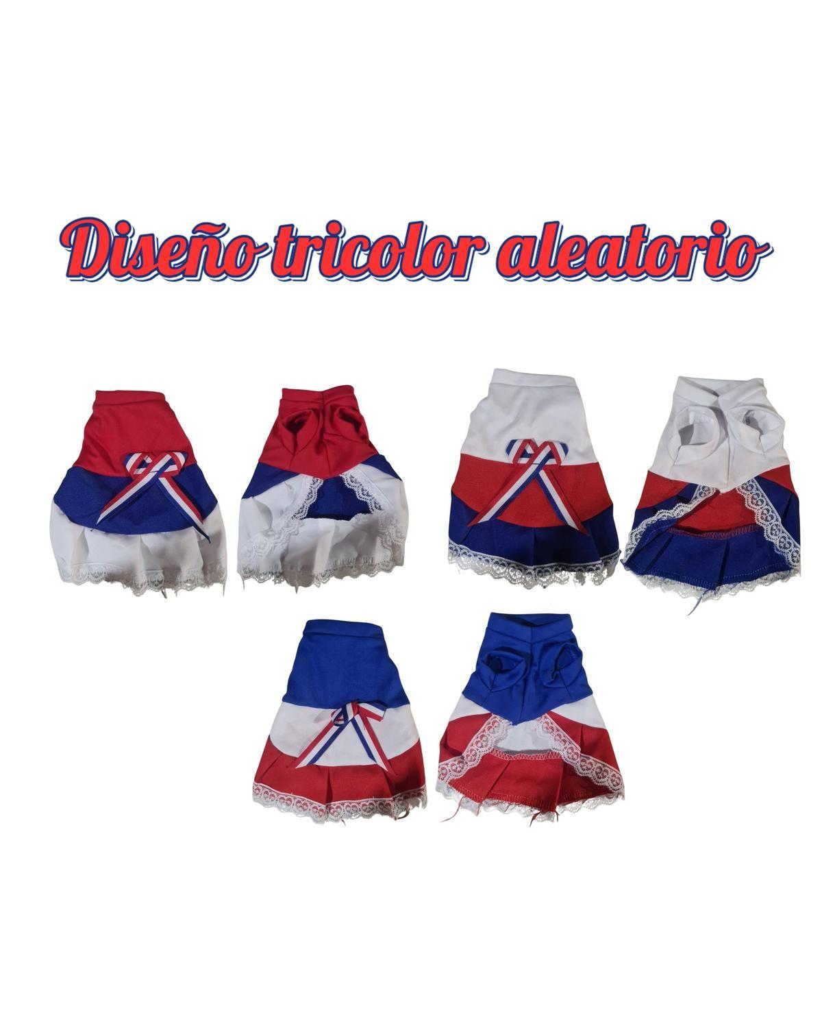 Vestido Huasa para Perro Talla XL | Fiestas Patrias-2