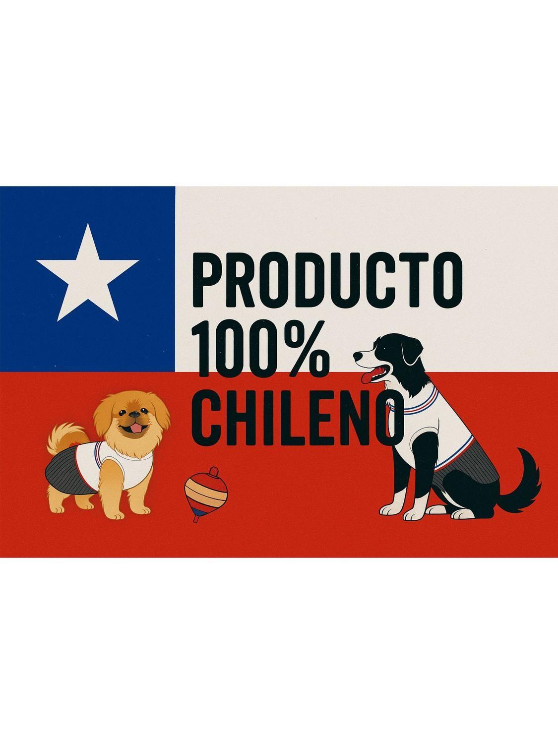 Traje de Huaso Chileno Talla 2XL Para Perros Grandes-3
