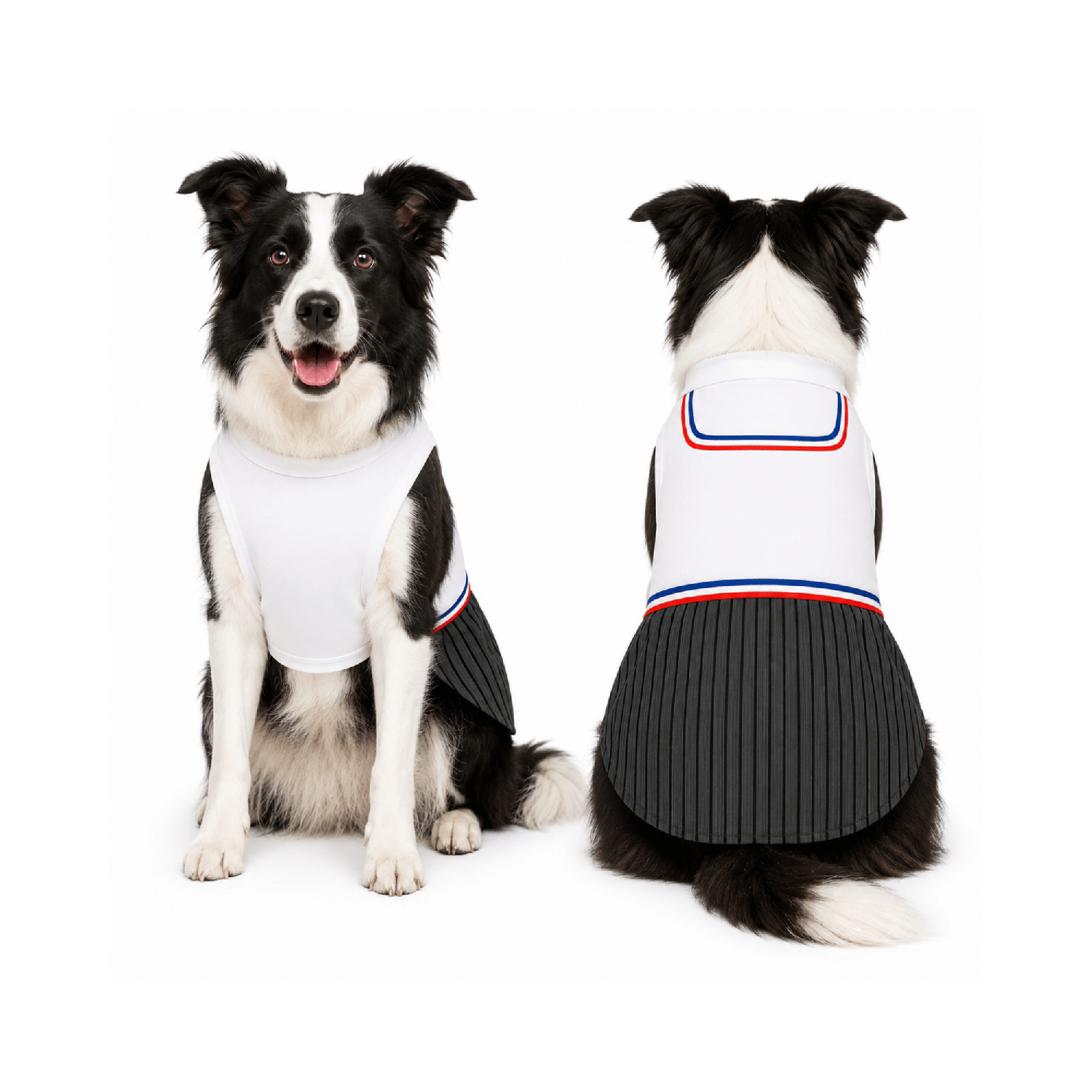 Traje de Huaso Chileno para Perro Talla 2XL-0