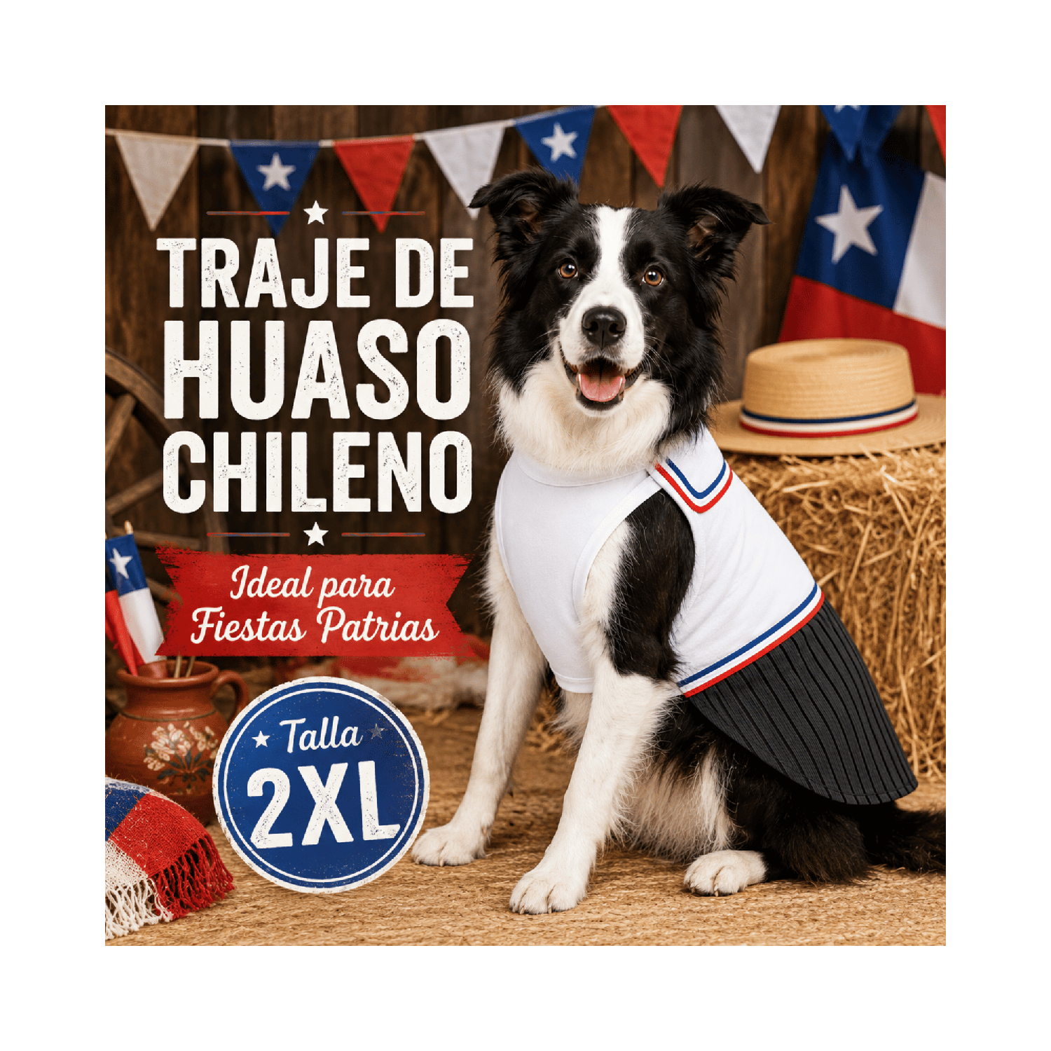 Traje de Huaso Chileno para Perro Talla 2XL-1