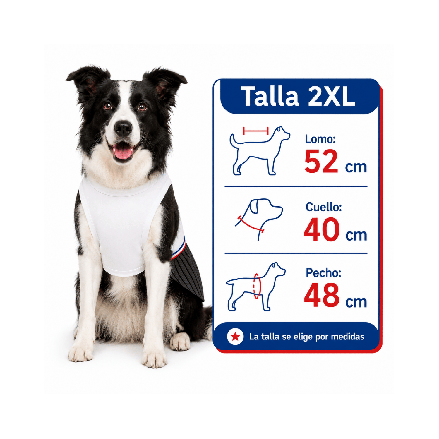 Traje de Huaso Chileno para Perro Talla 2XL-2