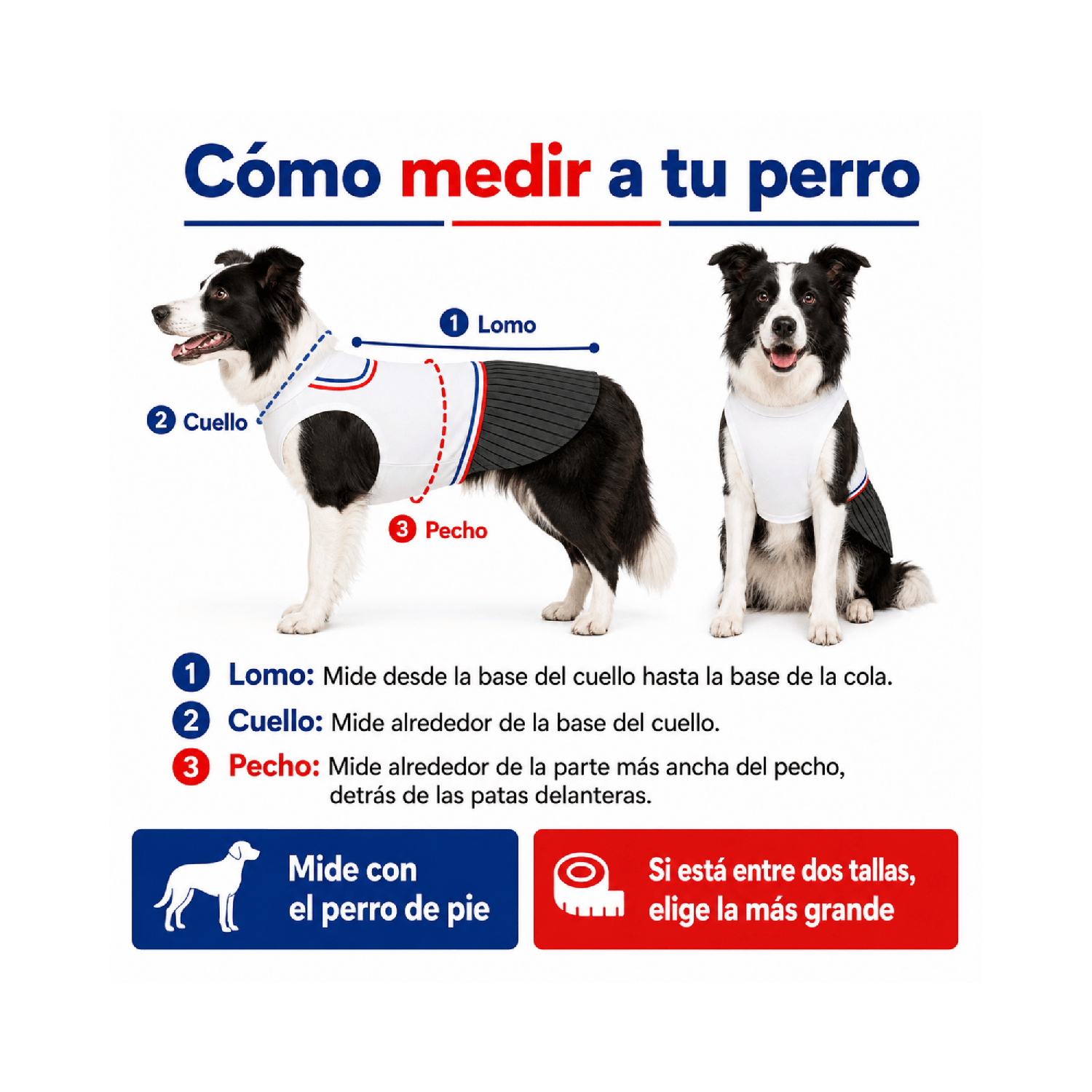 Traje de Huaso Chileno para Perro Talla 2XL-4
