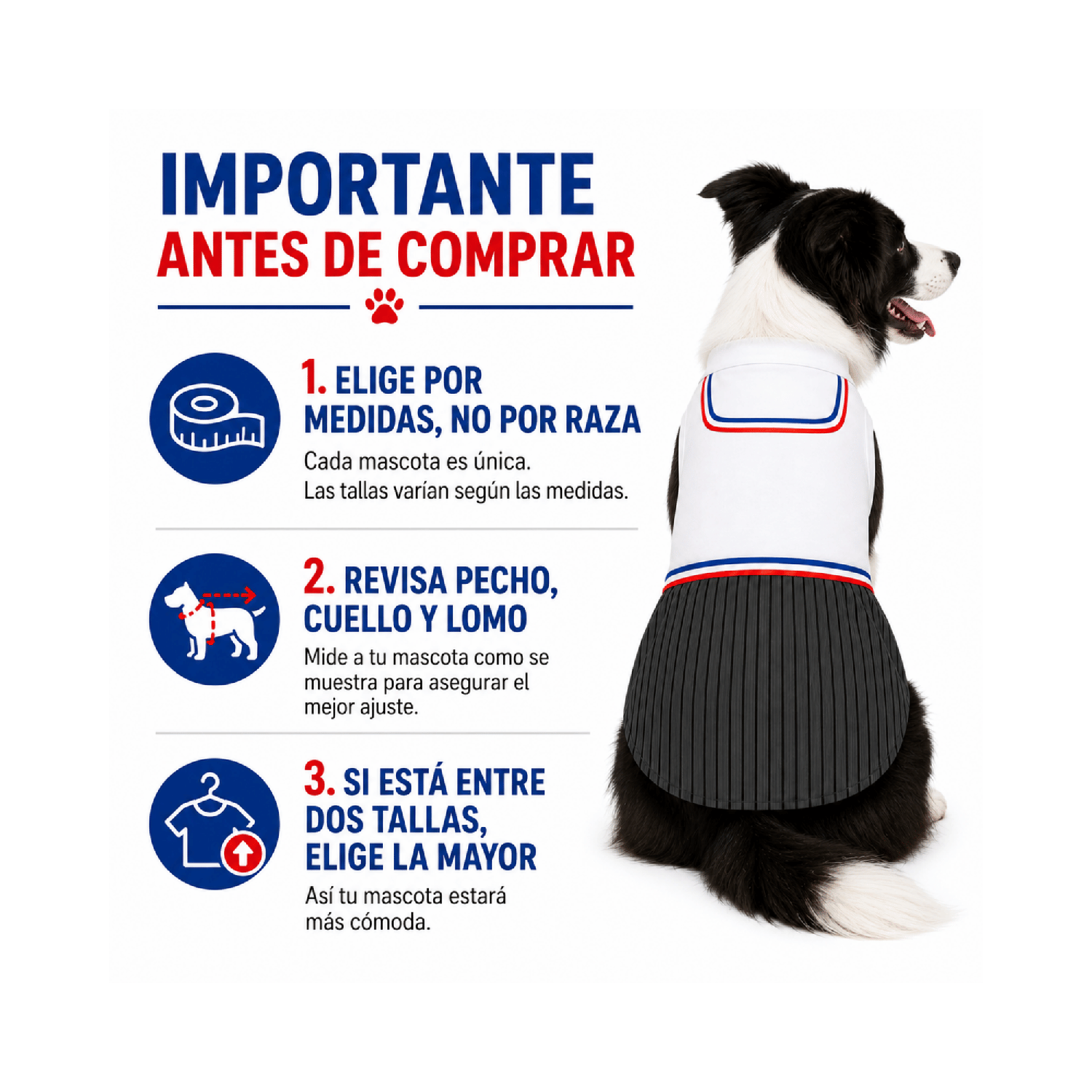 Traje de Huaso Chileno para Perro Talla 2XL-6