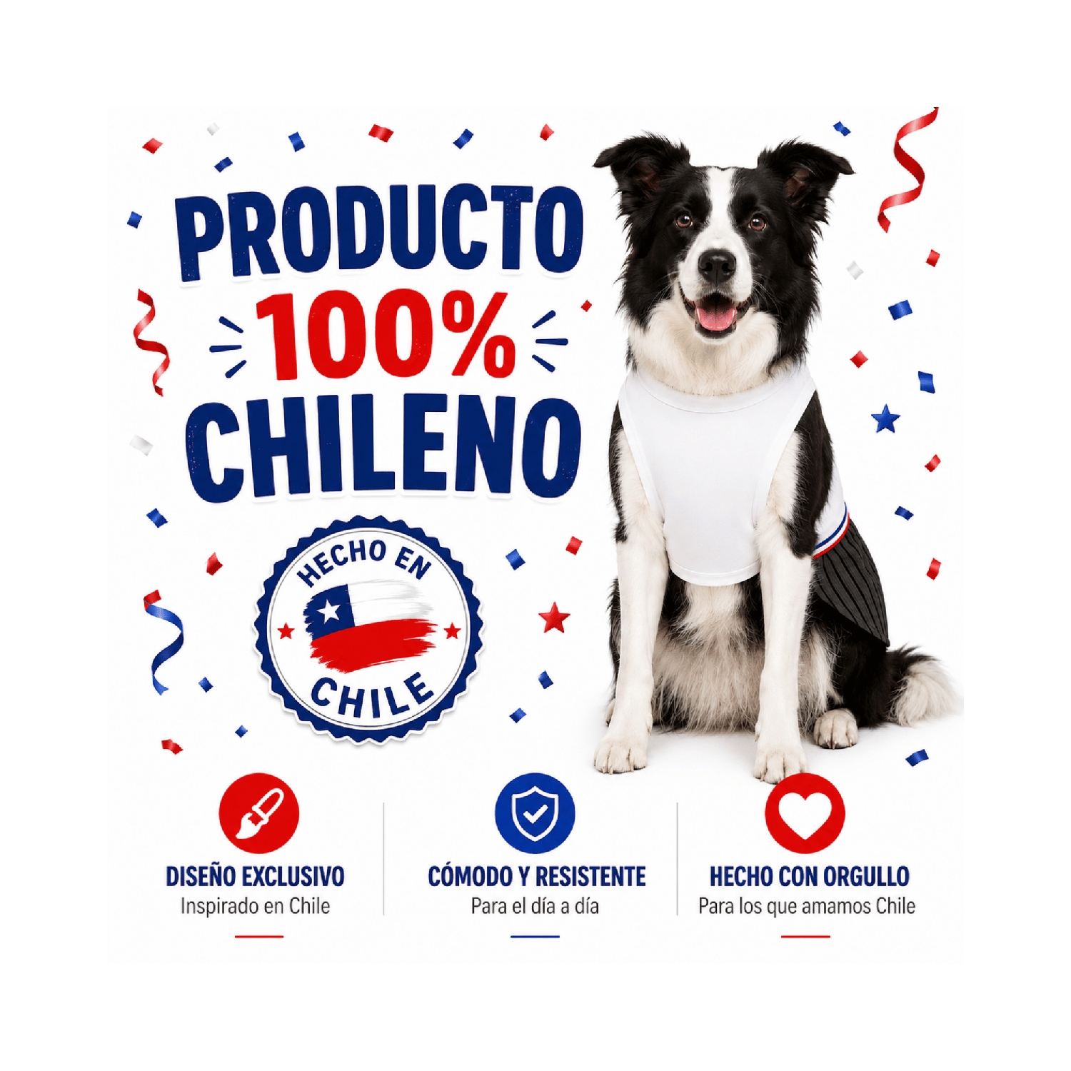 Traje de Huaso Chileno para Perro Talla 2XL-7