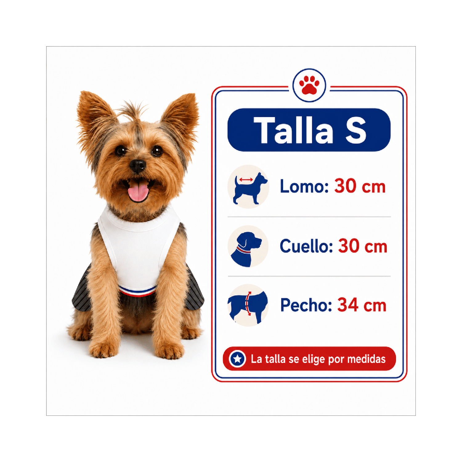 Traje de Huaso Chileno para Perro Talla S-2