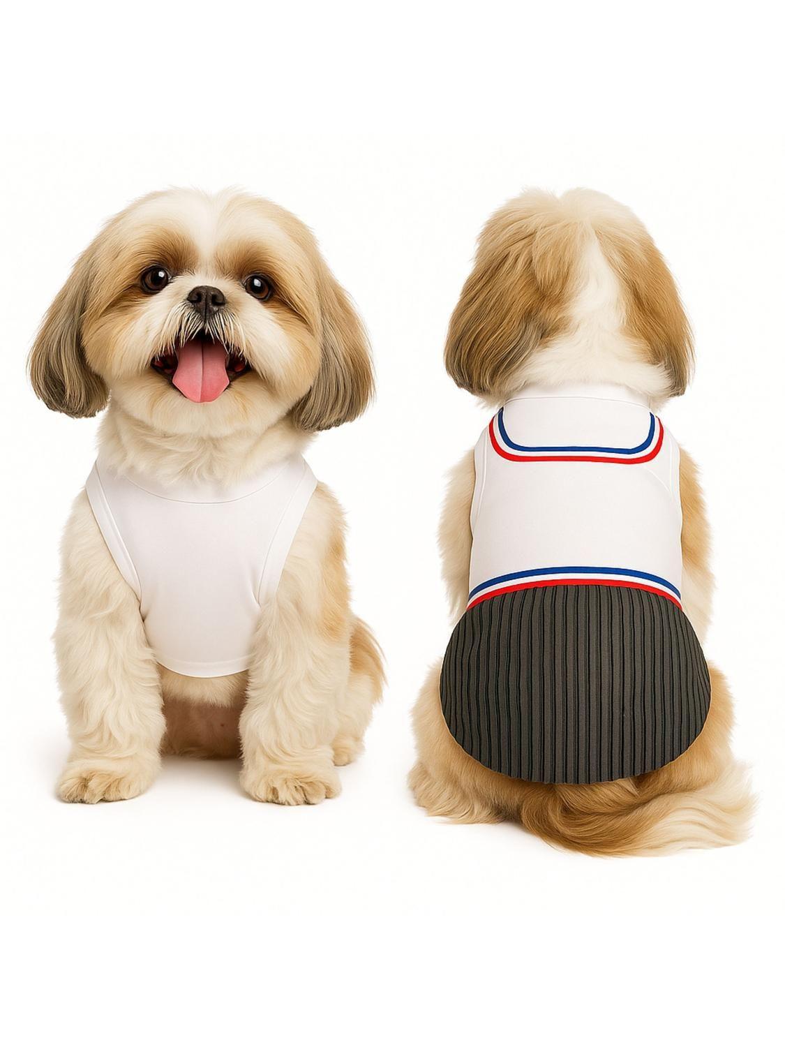 Traje de Huaso Chileno para Perro Talla S-9